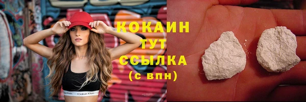 ALPHA-PVP Гусев