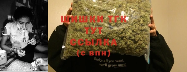 apvp Гусиноозёрск