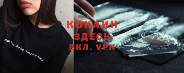 ALPHA-PVP Гусев