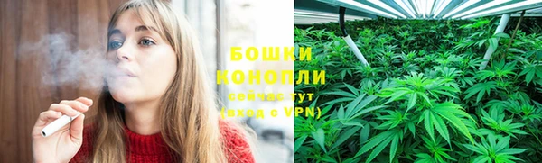 apvp Гусиноозёрск