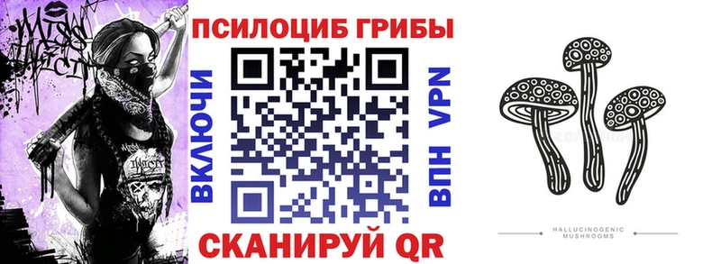 Псилоцибиновые грибы прущие грибы  Купить  Белокуриха 